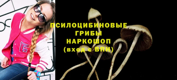 метамфетамин Белокуриха