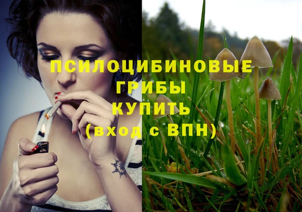 молекула духа Беломорск