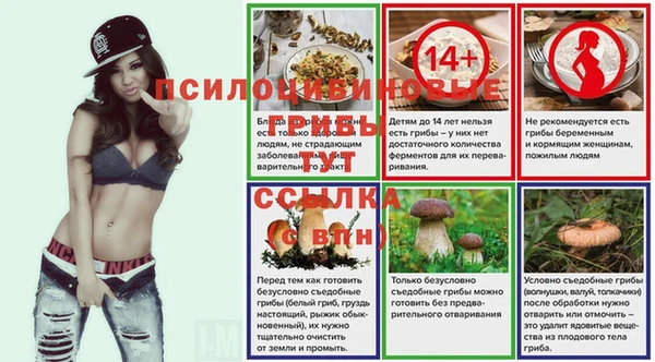 молекула духа Беломорск