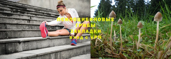 метамфетамин Белокуриха