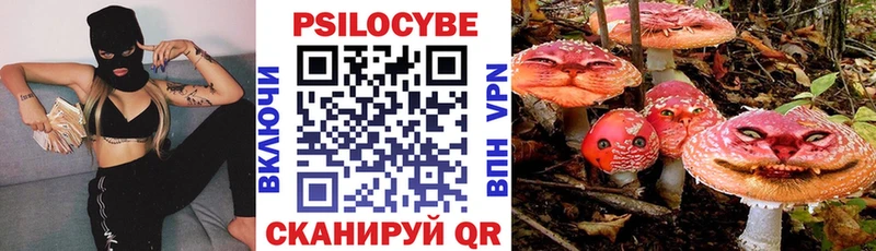 ОМГ ОМГ как зайти  площадка наркотические препараты  Галлюциногенные грибы Psilocybine cubensis  Дагестанские Огни 