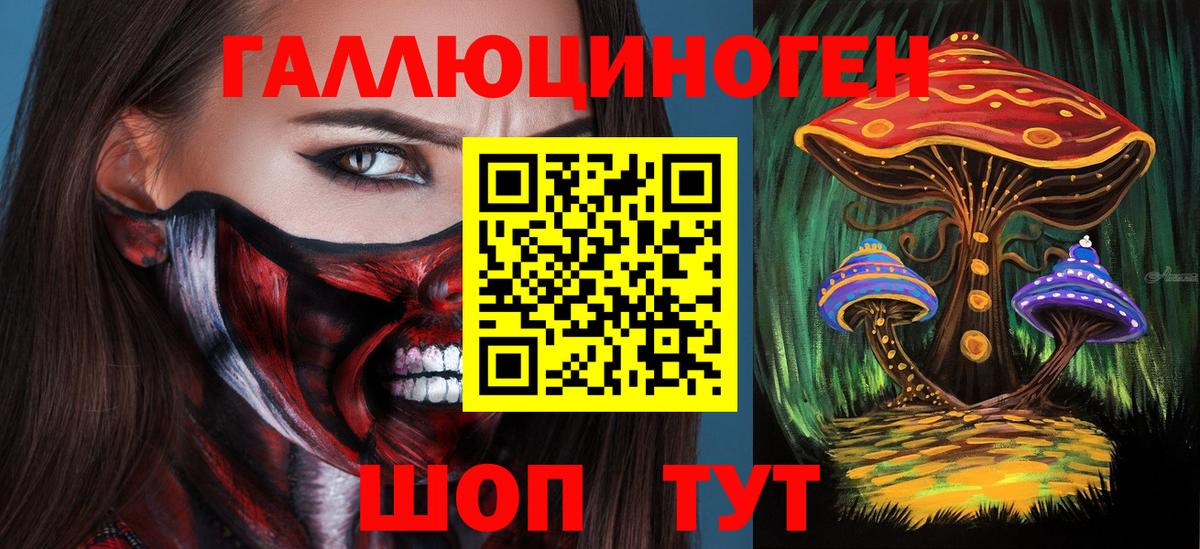 Галлюциногенные грибы прущие грибы  Вход с VPN  Дагестанские Огни  Псилоцибиновые грибы мухоморы 