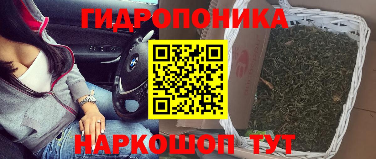 Шишки марихуана THC 21% Дагестанские Огни